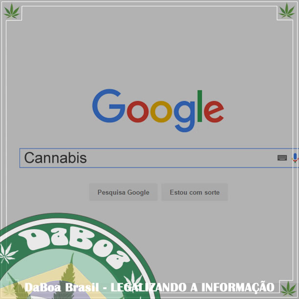 Buscas no Google por ‘Cannabis’ aumentaram devido às novas leis da maconha em estados dos EUA