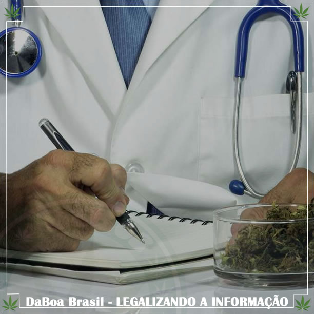 800 mil médicos irão aconselhar sobre maconha nos EUA