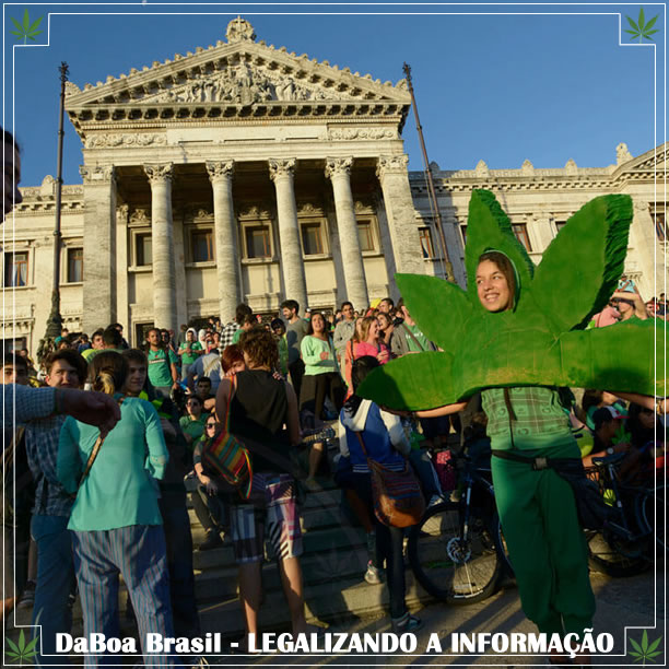 A criminalidade diminuiu 20% no Uruguai desde a legalização da maconha