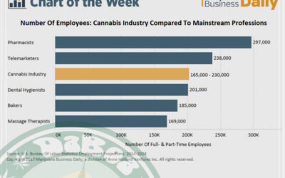 A indústria da maconha legal nos EUA é uma grande geradora de empregos