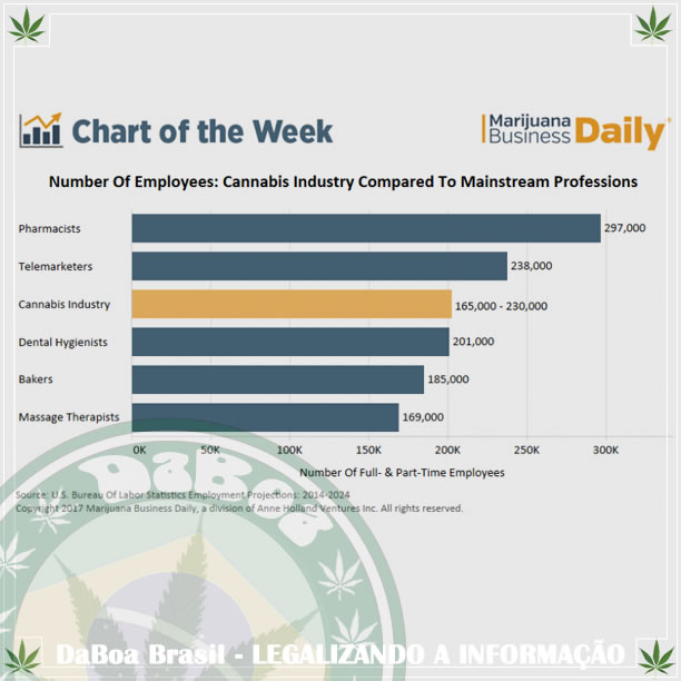 A indústria da maconha legal nos EUA é uma grande geradora de empregos