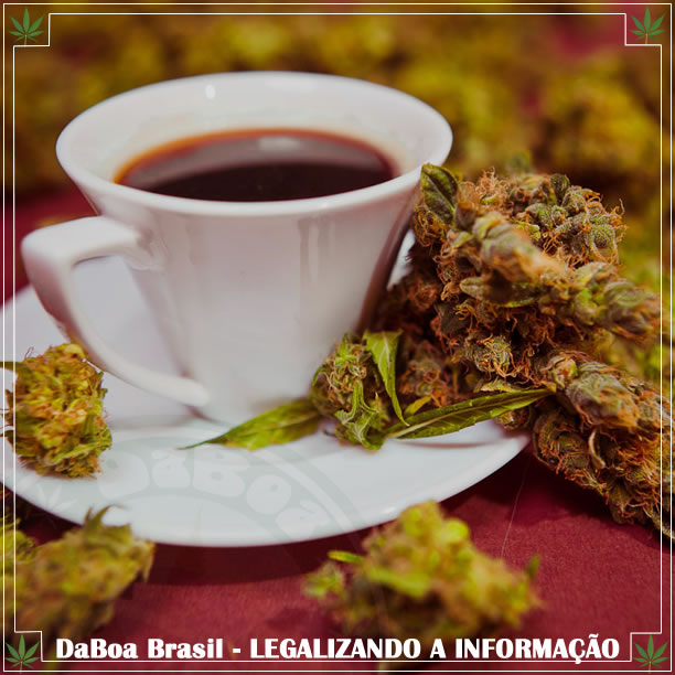 A surpreendente conexão entre café e maconha