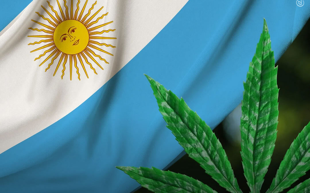 Argentina aprova o autocultivo de maconha para fins medicinais