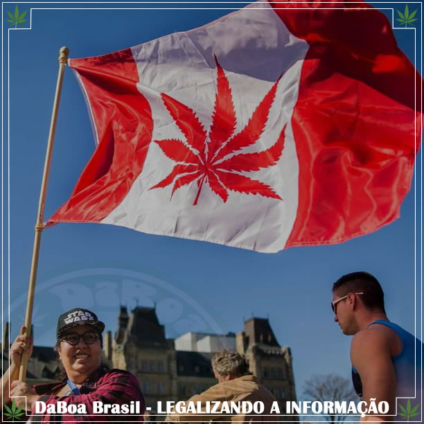 Canadá legaliza o uso recreativo da maconha