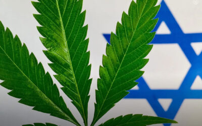 Comitê do Governo recomenda legalização total da maconha em Israel