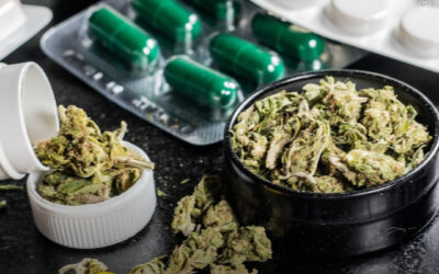 Como a maconha interage com outras drogas e medicamentos?