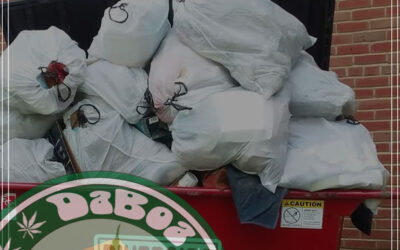 Dispensário dá maconha de graça em troca de ajuda na limpeza do bairro