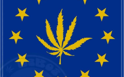 Europa, a nova “terra prometida” da maconha medicinal?