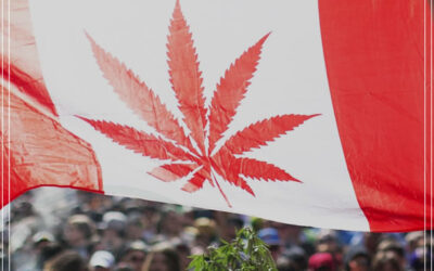 Indústria de maconha é maior do que indústria da cerveja e tabaco no Canadá