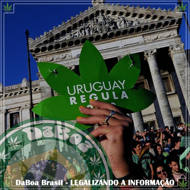 Uruguai controla o cultivo e a venda de maconha