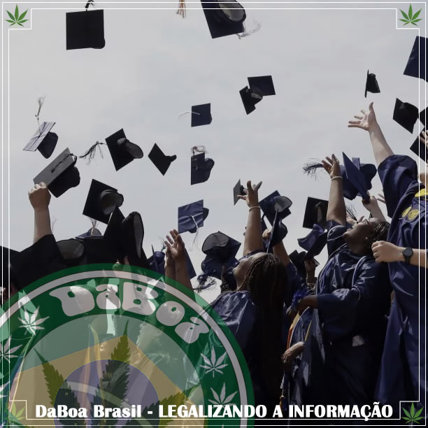 Novo diploma universitário nos EUA: Química da maconha