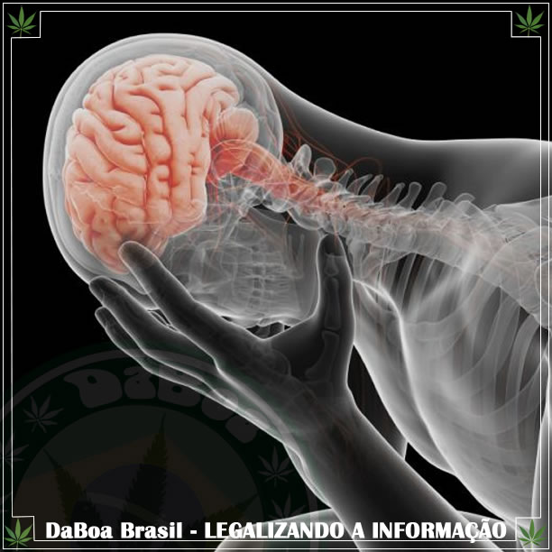 O cannabigerol (CBG) pode tratar a neuroinflamação e o estresse oxidativo