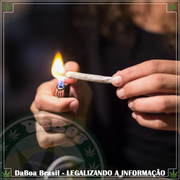 O consumo de maconha entre adolescentes diminui drasticamente após a legalização na Califórnia