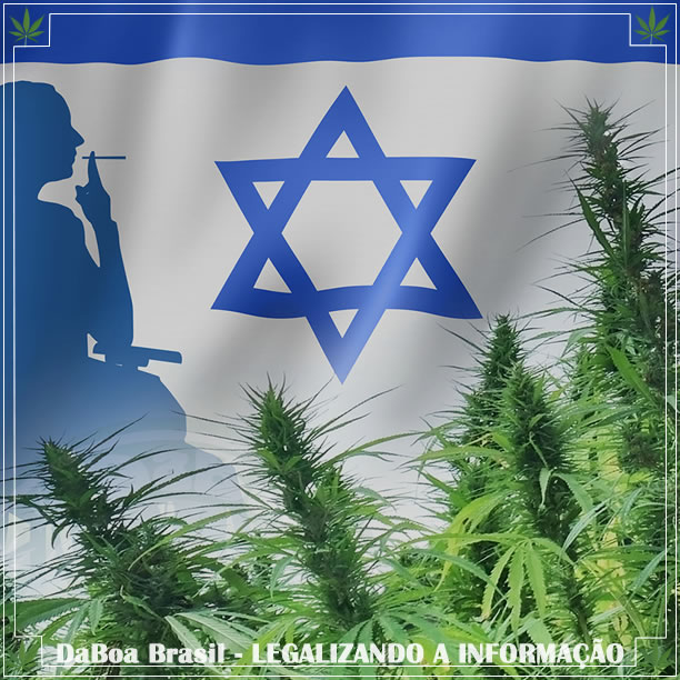 Pesquisadores de Israel buscam matar células cancerígenas com maconha