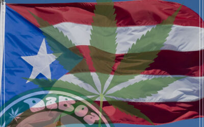 Porto Rico aposta na maconha para combater a crise econômica