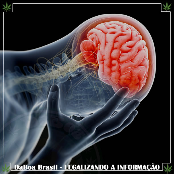 Um novo estudo descobre que a maconha pode tratar enxaquecas