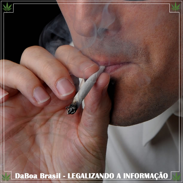 Usuários de maconha trabalham mais do que os não usuários