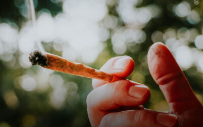 Redução de Danos: dicas para uma primeira experiência segura com a maconha