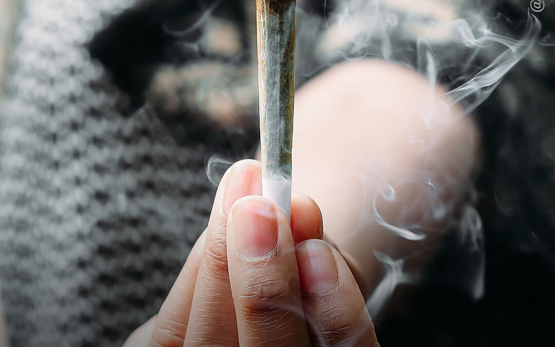 Legalização da maconha para uso adulto não está associada a efeitos sociais adversos