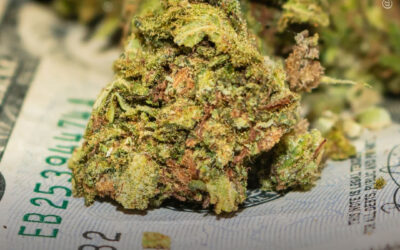 Colorado vendeu mais de US $ 187 milhões em maconha legal em janeiro