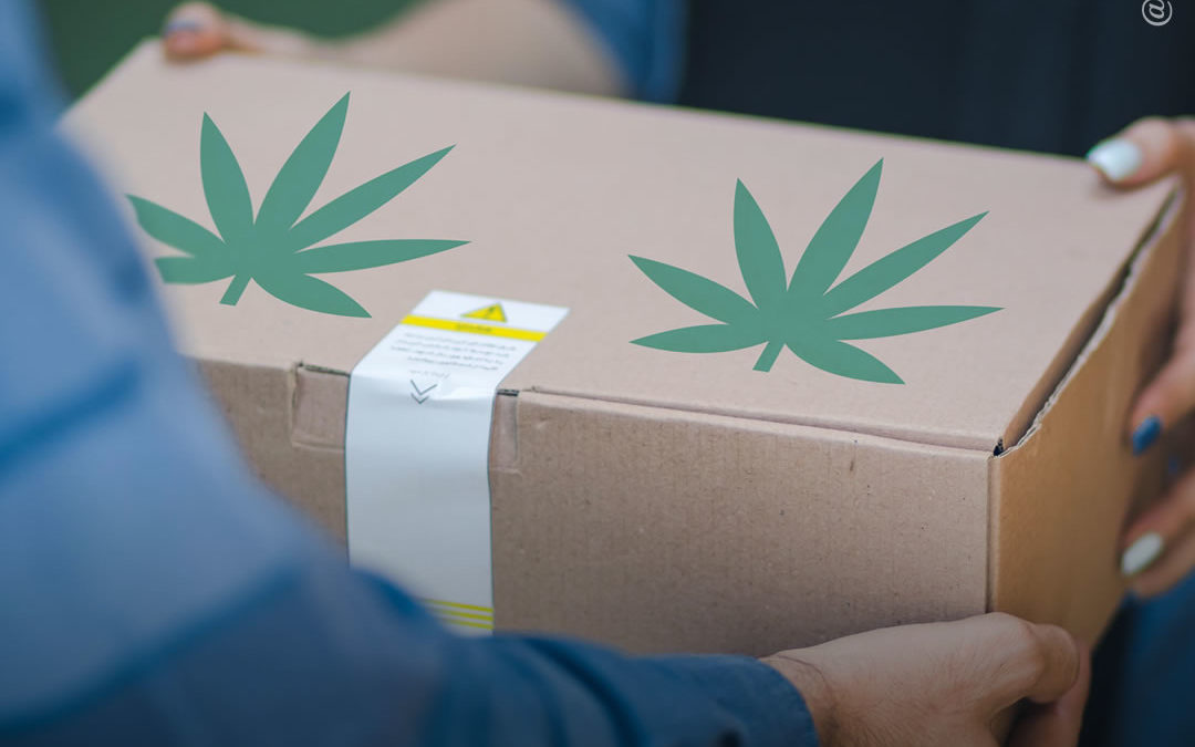 Uruguai planeja implementar delivery de maconha para usuários