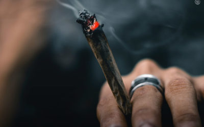 Fumar maconha não diminui a motivação, conclui estudo