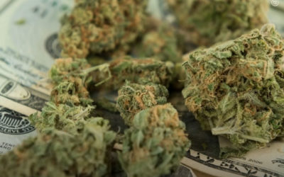 EUA: Illinois, Maine, Michigan e Missouri estabeleceram recordes de vendas de maconha no mês de julho