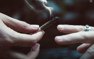 A legalização da maconha não leva ao aumento do consumo entre jovens, diz novo estudo