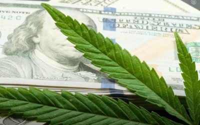 As vendas legais de maconha em todo o mundo em 2021 chegarão a US $ 31 bilhões