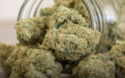 Nova York agora permite que médicos recomendem maconha para literalmente qualquer doença