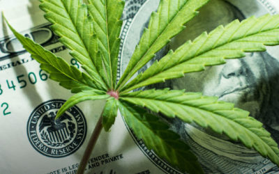 EUA: no primeiro ano de vendas legais, Arizona vendeu US $ 1,2 bilhão em maconha