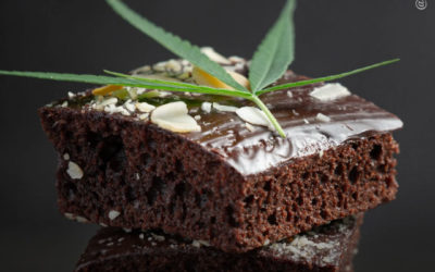 Universidade Johns Hopkins está pagando US $ 2.660 para comer brownies de maconha e beber álcool