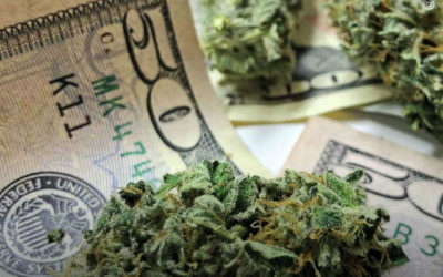 EUA: Arizona vendeu US $ 75,5 milhões em maconha legal em abril com queda nas vendas para uso medicinal