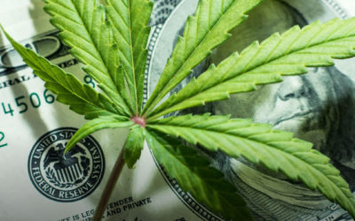 EUA: Michigan vendeu um recorde de US $ 210 milhões em maconha legal no mês passado