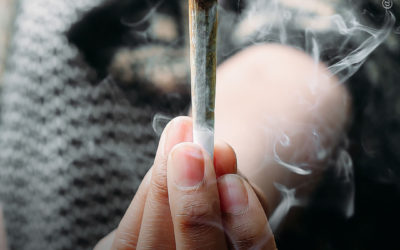 Maconha não transforma as pessoas em preguiçosas e desmotivadas, diz novo estudo