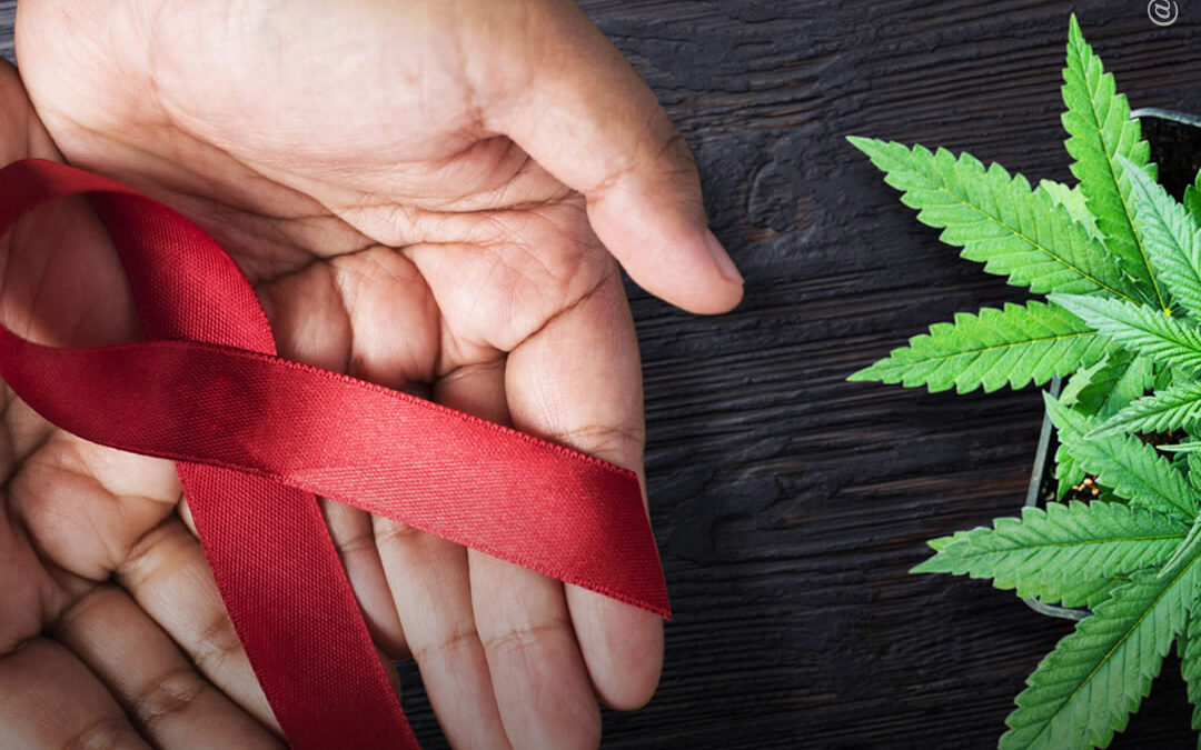 Estudo encontra ligação entre uso de maconha e maior atividade física em pacientes HIV+