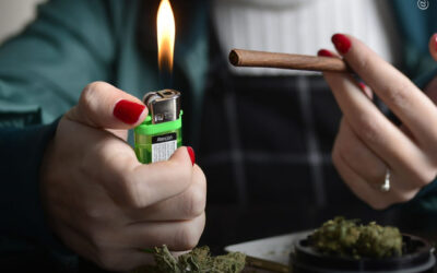 Legalização da maconha não está associada ao aumento das taxas de psicose, segundo estudo