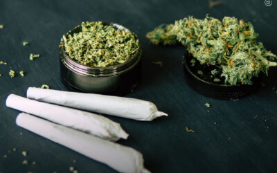 Tendências de uso de maconha entre adolescentes diminuem à medida que mais lugares legalizam, revela pesquisa