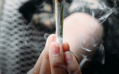 A maconha é mais segura que o álcool e os cigarros e é menos viciante que a tecnologia, de acordo com pesquisa