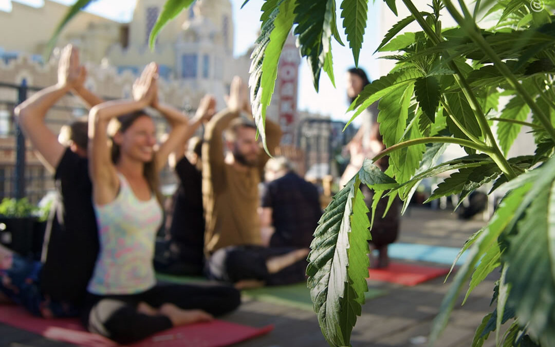 Estudo sobre uso de maconha e yoga descobre que a situação e o ambiente podem influenciar os benefícios para a saúde mental