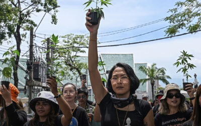 Tailândia abandona plano de proibir novamente o uso adulto da maconha