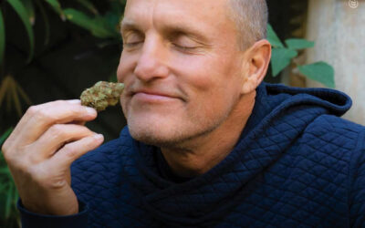 Ator Woody Harrelson pressiona governador da Califórnia (EUA) para expandir a indústria da maconha