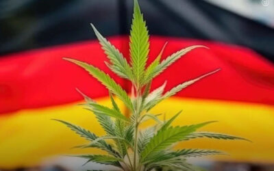 Alemanha recebe cinco outras nações europeias em reunião conjunta sobre a maconha para discutir experiências de legalização