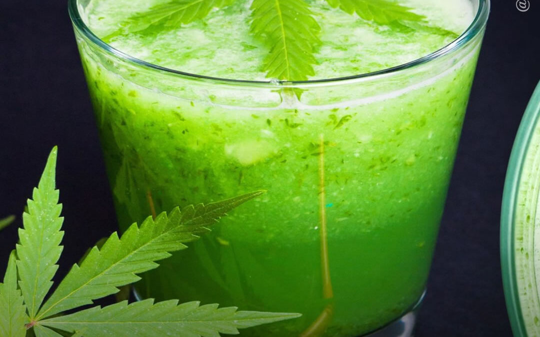 Suco de maconha: o que é e quais os seus benefícios